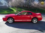 Ford Mustang SVT Cobra Coupe 1999 года